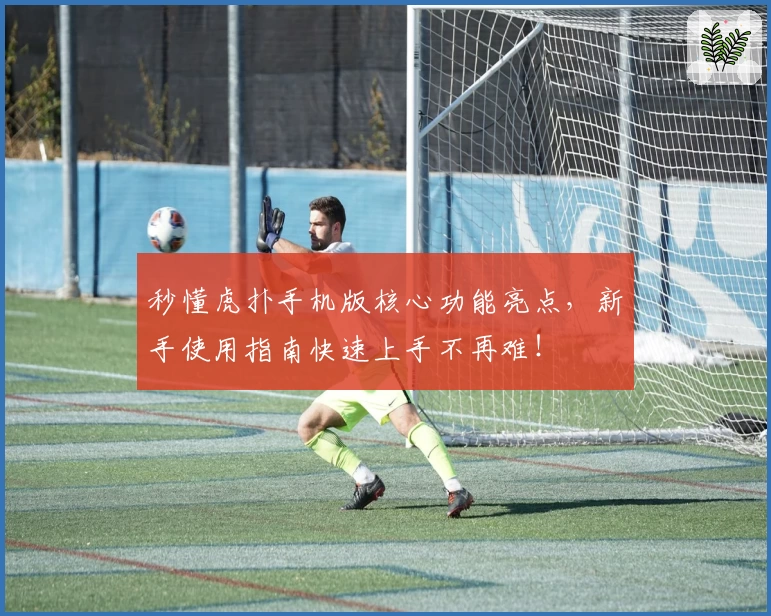 秒懂虎扑手机版核心功能亮点，新手使用指南快速上手不再难！