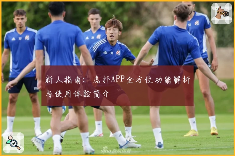 新人指南：虎扑APP全方位功能解析与使用体验简介